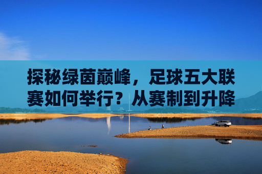 探秘绿茵巅峰,足球五大联赛如何举行?从赛制到升降级的全解析