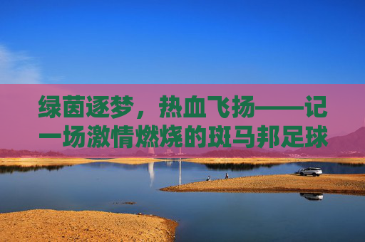 绿茵逐梦,热血飞扬——记一场激情燃烧的斑马邦足球赛