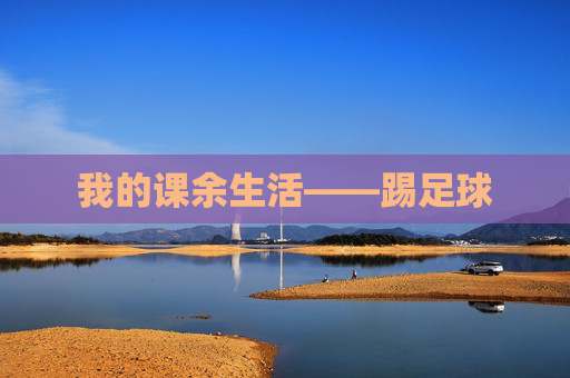 我的课余生活——踢足球