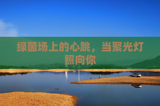 绿茵场上的心跳,当聚光灯照向你