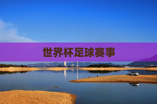 世界杯足球赛事