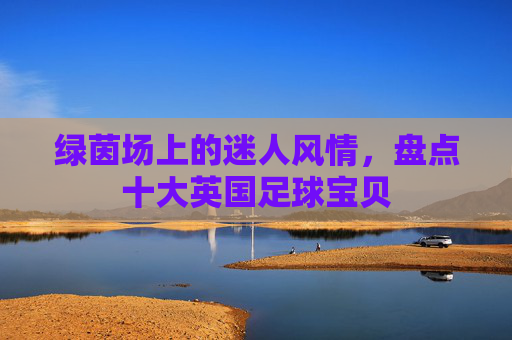绿茵场上的迷人风情,盘点十大英国足球宝贝