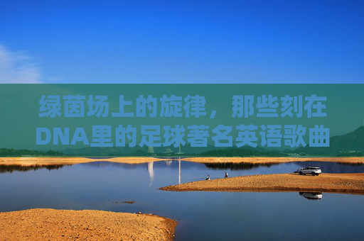 绿茵场上的旋律,那些刻在DNA里的足球著名英语歌曲歌词赏析