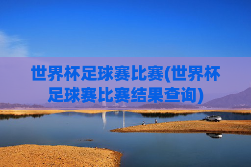 世界杯足球赛比赛(世界杯足球赛比赛结果查询)