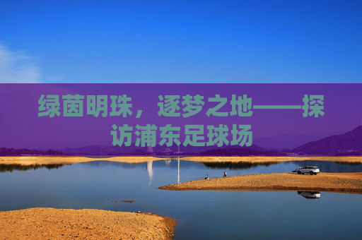 绿茵明珠,逐梦之地——探访浦东足球场