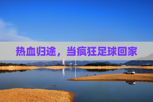 热血归途,当疯狂足球回家