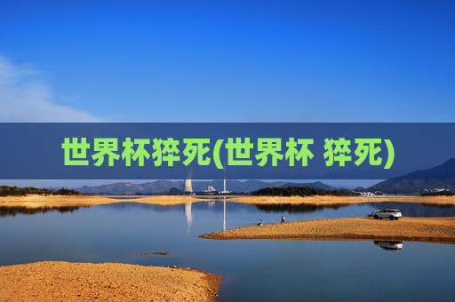世界杯猝死(世界杯 猝死)