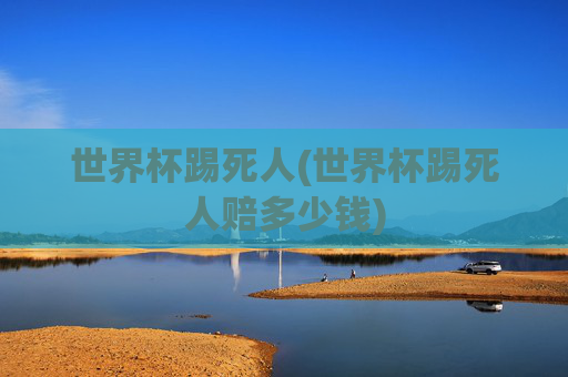 世界杯踢死人(世界杯踢死人赔多少钱)
