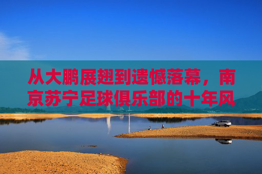 从大鹏展翅到遗憾落幕,南京苏宁足球俱乐部的十年风雨路
