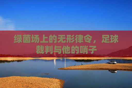 绿茵场上的无形律令,足球裁判与他的哨子