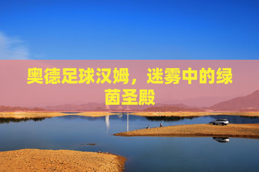 奥德足球汉姆,迷雾中的绿茵圣殿