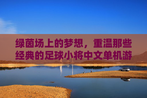 绿茵场上的梦想,重温那些经典的足球小将中文单机游戏