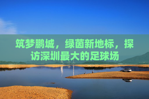 筑梦鹏城,绿茵新地标,探访深圳最大的足球场