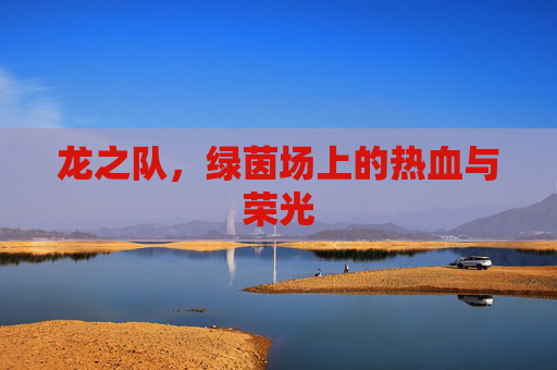 龙之队，绿茵场上的热血与荣光
