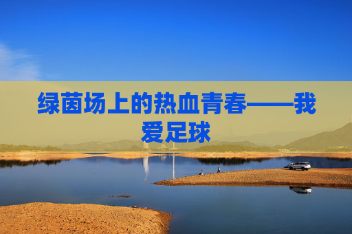 绿茵场上的热血青春——我爱足球