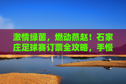 激情绿茵,燃动燕赵!石家庄足球赛订票全攻略,手慢无!