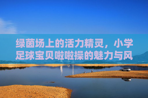 绿茵场上的活力精灵,小学足球宝贝啦啦操的魅力与风采