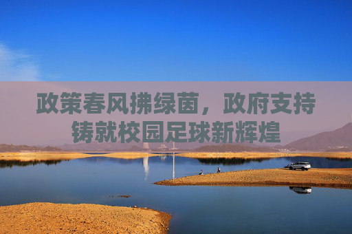 政策春风拂绿茵，政府支持铸就校园足球新辉煌