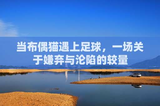 当布偶猫遇上足球，一场关于嫌弃与沦陷的较量