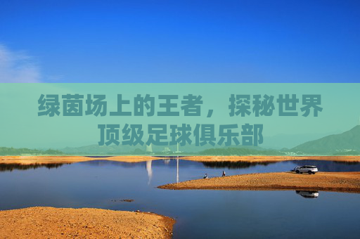 绿茵场上的王者,探秘世界顶级足球俱乐部