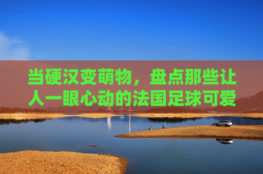 当硬汉变萌物，盘点那些让人一眼心动的法国足球可爱壁纸