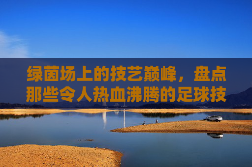 绿茵场上的技艺巅峰,盘点那些令人热血沸腾的足球技能排行榜名称