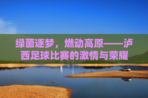 绿茵逐梦,燃动高原——泸西足球比赛的激情与荣耀