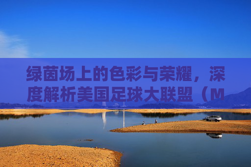 绿茵场上的色彩与荣耀,深度解析美国足球大联盟(MLS)球衣的魅力
