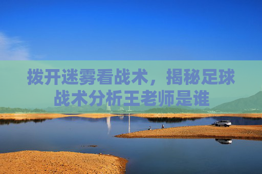 拨开迷雾看战术,揭秘足球战术分析王老师是谁