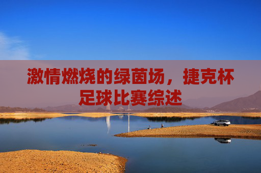激情燃烧的绿茵场,捷克杯足球比赛综述
