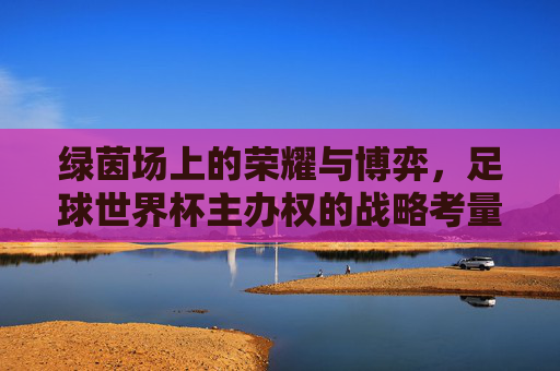 绿茵场上的荣耀与博弈,足球世界杯主办权的战略考量