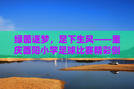 绿茵逐梦，足下生风——重庆酉阳小学足球比赛精彩侧记