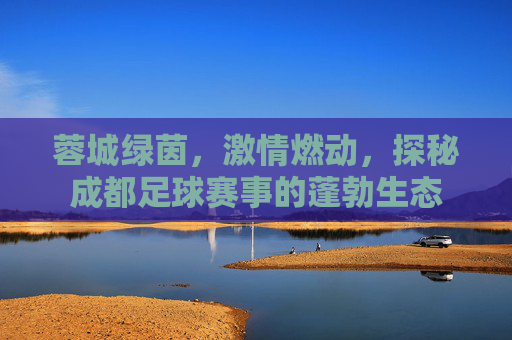 蓉城绿茵,激情燃动,探秘成都足球赛事的蓬勃生态