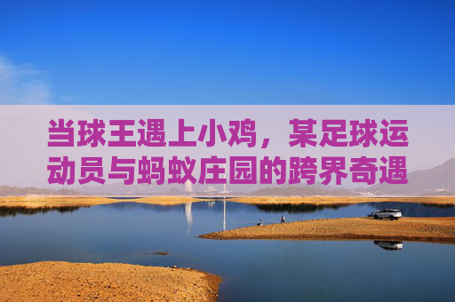 当球王遇上小鸡,某足球运动员与蚂蚁庄园的跨界奇遇