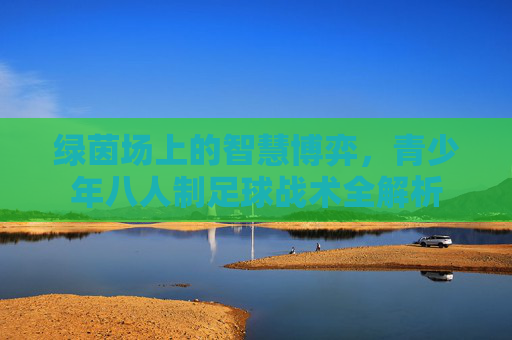绿茵场上的智慧博弈,青少年八人制足球战术全解析
