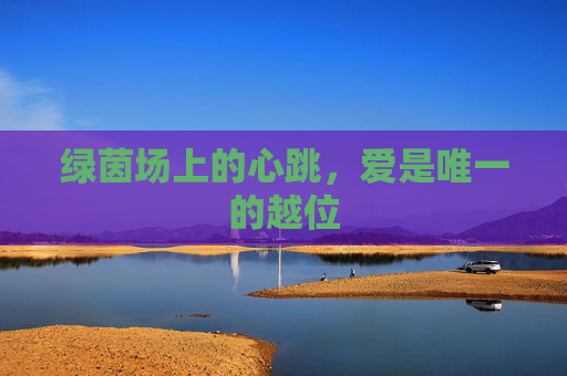 绿茵场上的心跳,爱是唯一的越位