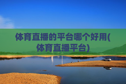体育直播的平台哪个好用(体育直播平台)