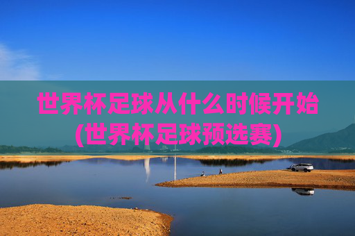 世界杯足球从什么时候开始(世界杯足球预选赛)