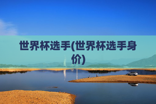 世界杯选手(世界杯选手身价)