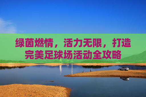 绿茵燃情，活力无限，打造完美足球场活动全攻略