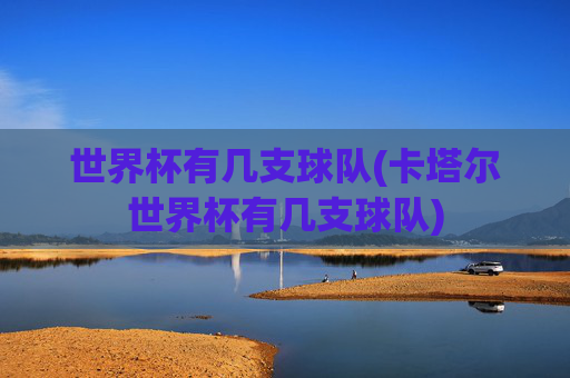 世界杯有几支球队(卡塔尔世界杯有几支球队)