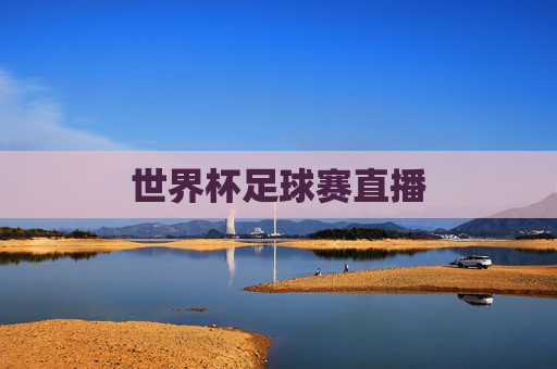 世界杯足球赛直播