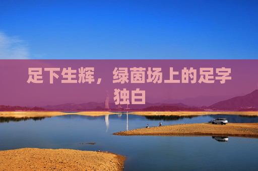 足下生辉,绿茵场上的足字独白