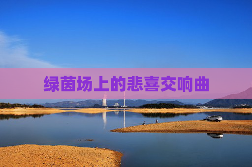 绿茵场上的悲喜交响曲