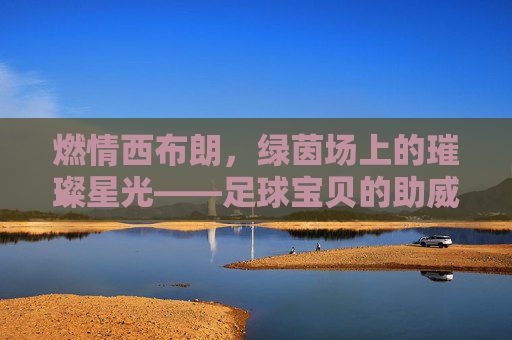 燃情西布朗,绿茵场上的璀璨星光——足球宝贝的助威风采