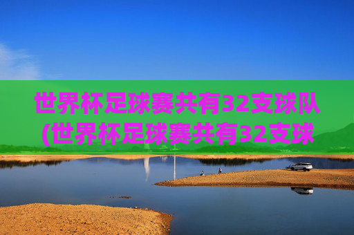 世界杯足球赛共有32支球队(世界杯足球赛共有32支球队对吗)