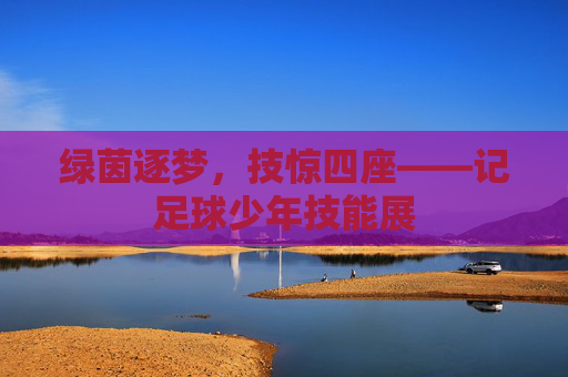绿茵逐梦,技惊四座——记足球少年技能展