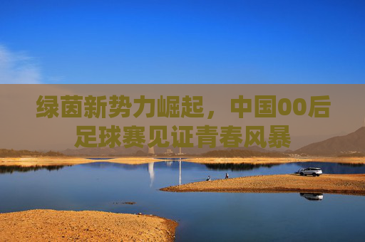 绿茵新势力崛起,中国00后足球赛见证青春风暴