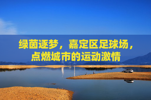 绿茵逐梦,嘉定区足球场,点燃城市的运动激情