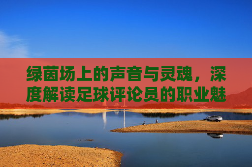 绿茵场上的声音与灵魂，深度解读足球评论员的职业魅力